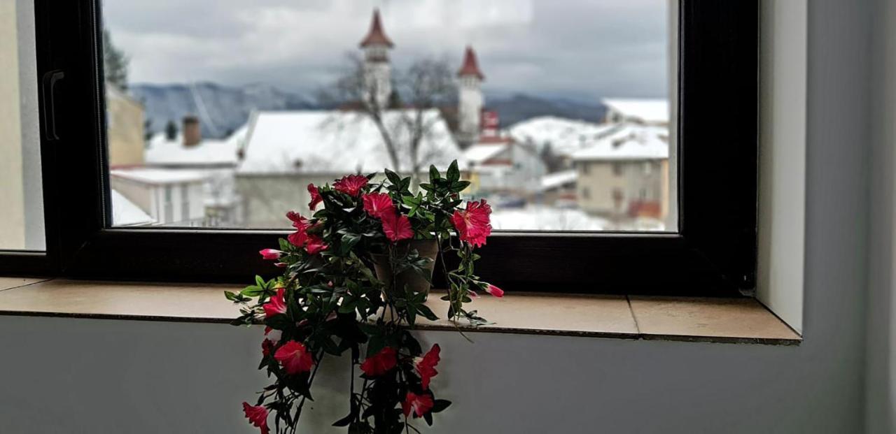 Vila William'S Brasov Luaran gambar